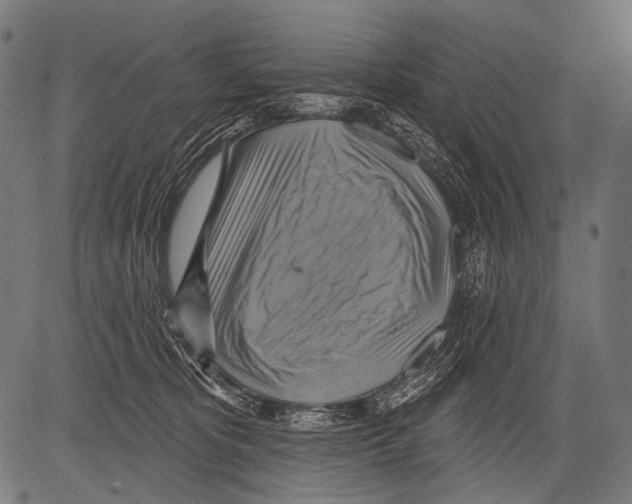 X0000081500325200702100102
