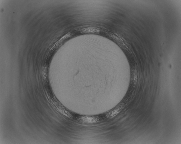 X0000081500326200702100102