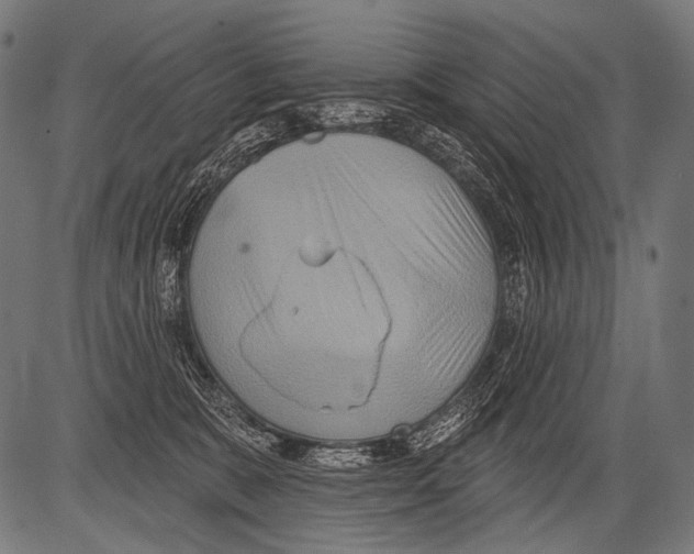 X0000081500327200702100102
