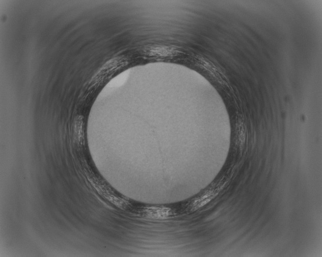 X0000081500328200702100102
