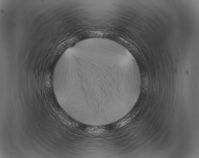 X0000081500331200702100102