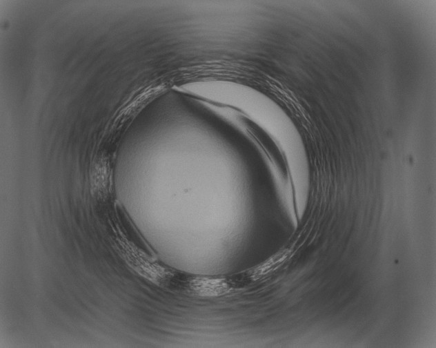 X0000081500333200702100102