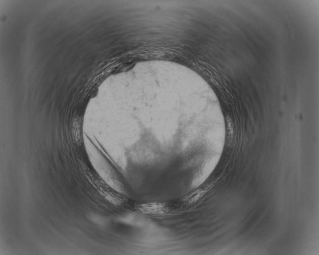 X0000081500335200702100102