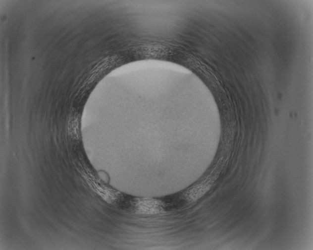 X0000081500336200702100102