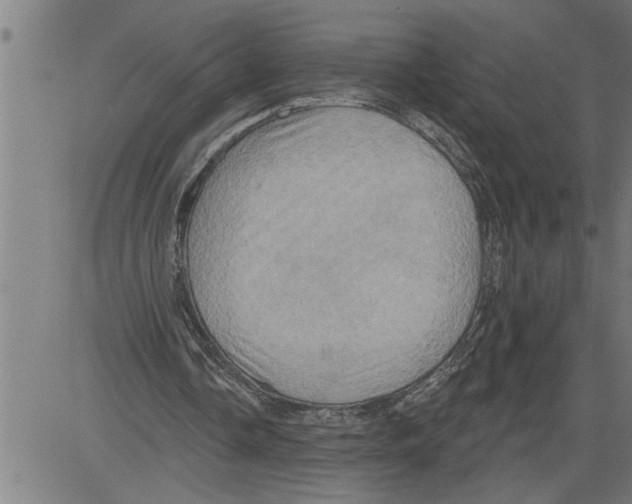 X0000081500338200702100101