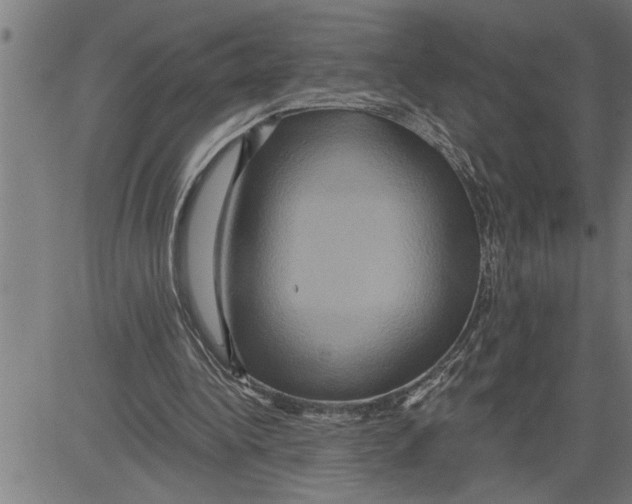 X0000081500340200702100101