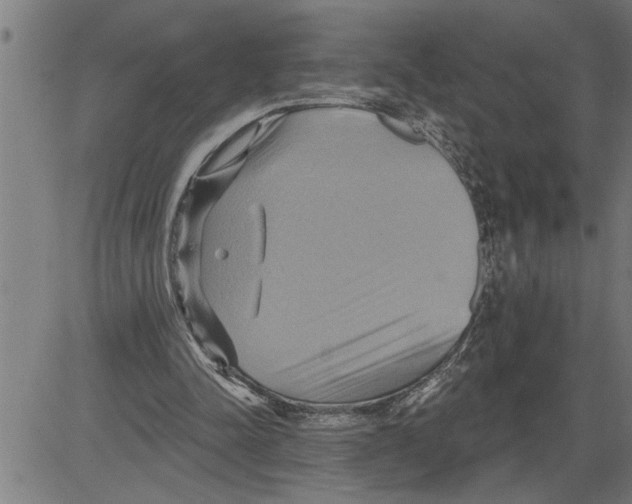 X0000081500342200702100101