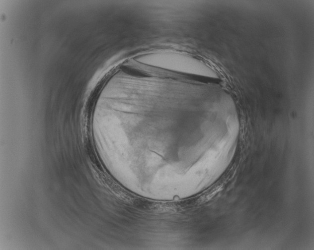 X0000081500343200702100101