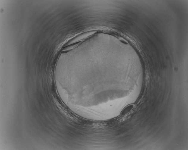 X0000081500345200702100101