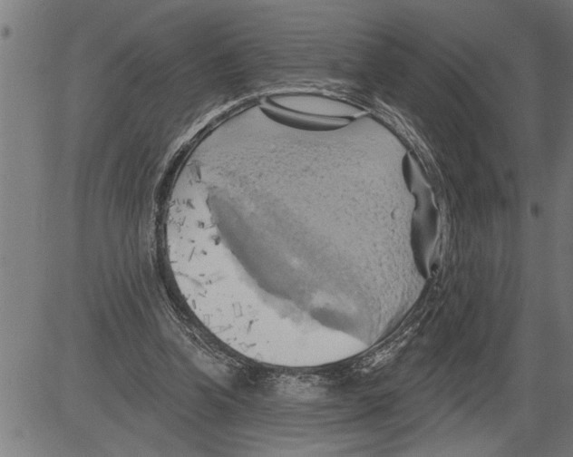 X0000081500346200702100101