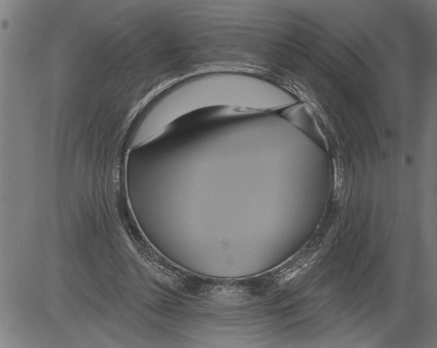 X0000081500348200702100101