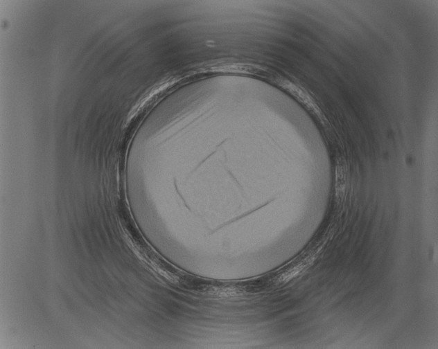 X0000081500349200702100101