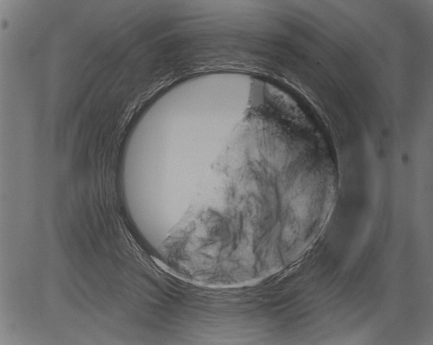 X0000081500353200702100101