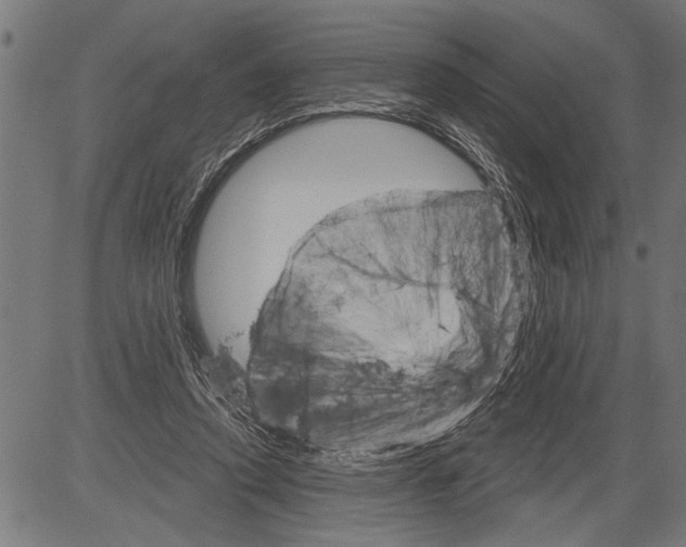 X0000081500354200702100101