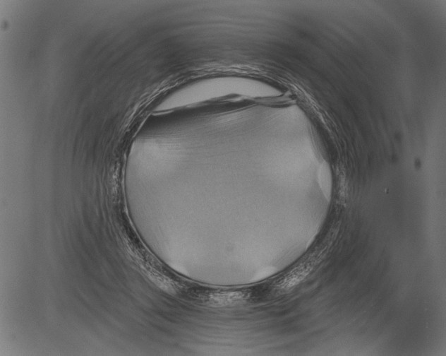 X0000081500357200702100101