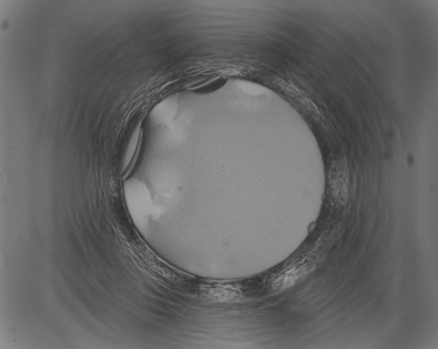 X0000081500359200702100101