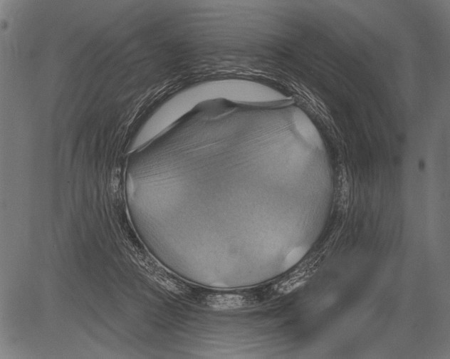 X0000081500361200702100101