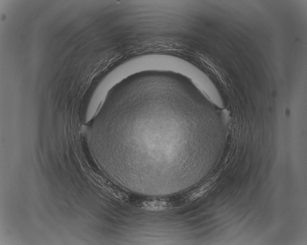X0000081500362200702100101