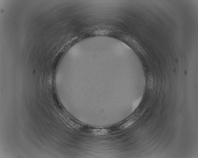 X0000081500363200702100101