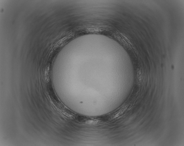 X0000081500364200702100101