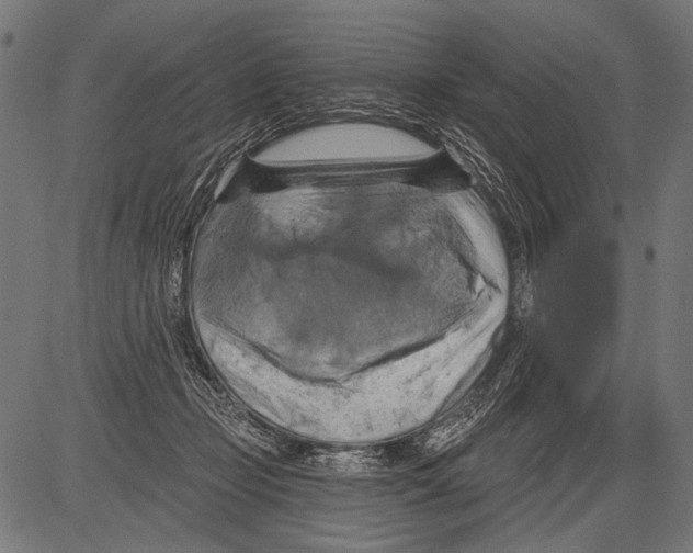 X0000081500365200702100101