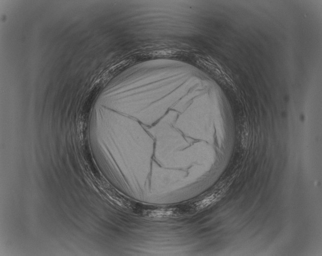 X0000081500366200702100101