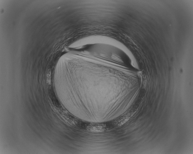 X0000081500368200702100101