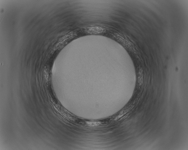 X0000081500371200702100101