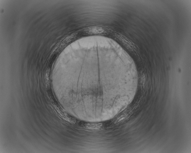 X0000081500373200702100101