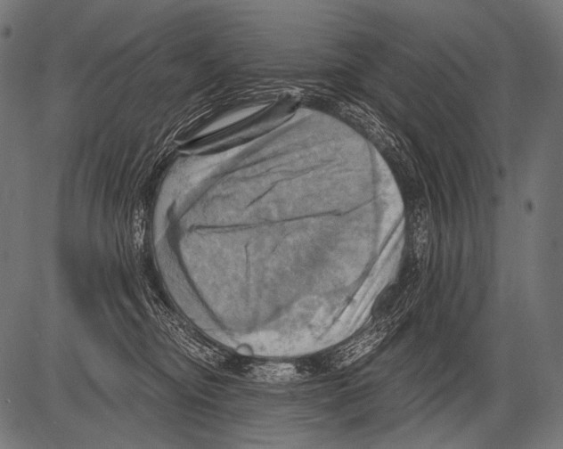 X0000081500374200702100101