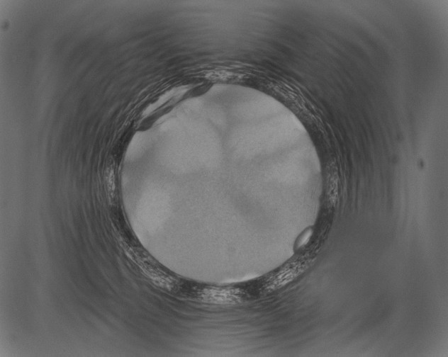 X0000081500375200702100101