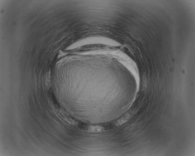 X0000081500376200702100101