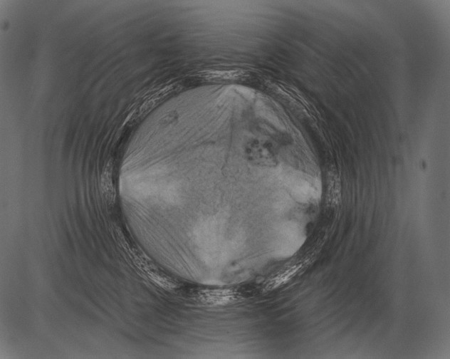 X0000081500377200702100101