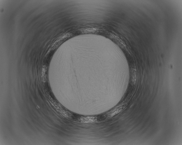 X0000081500378200702100102