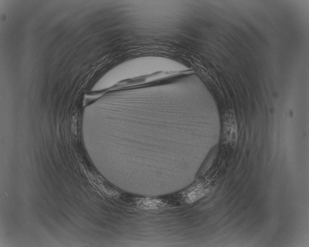 X0000081500379200702100102