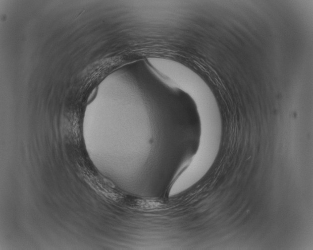 X0000081500380200702100102