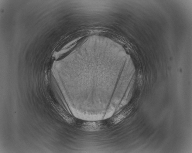 X0000081500381200702100102