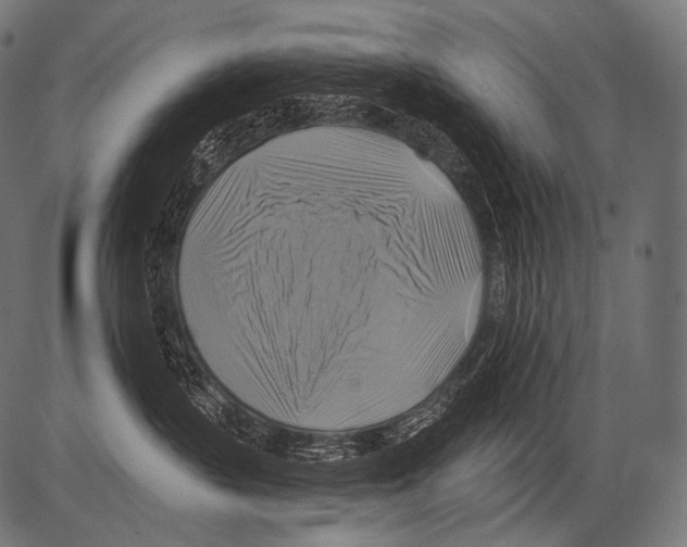 X0000081500383200702100102