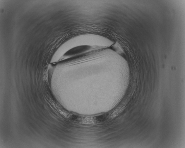 X0000081500384200702100102