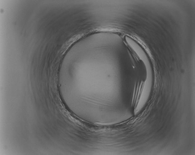 X0000081500385200702100101