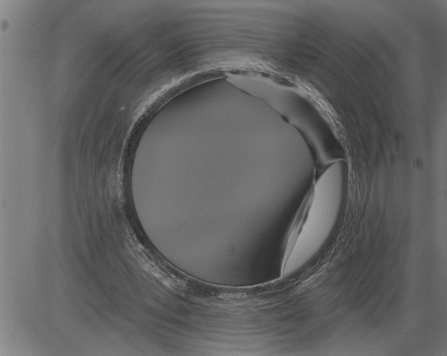 X0000081500391200702100101
