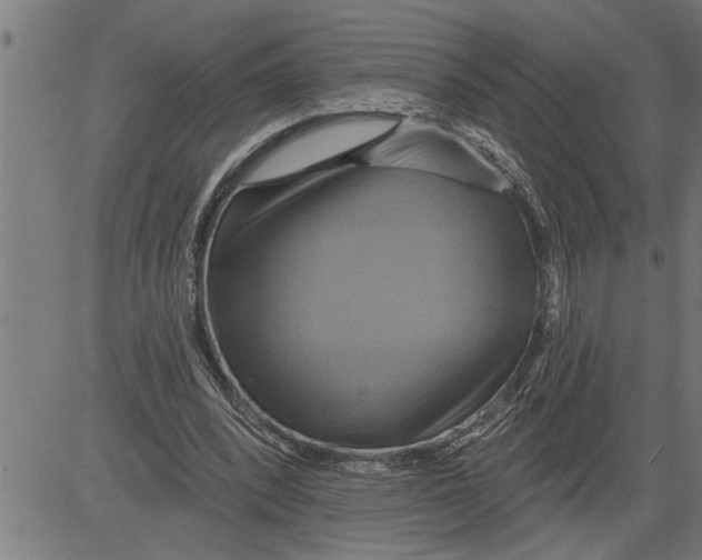 X0000081500392200702100101