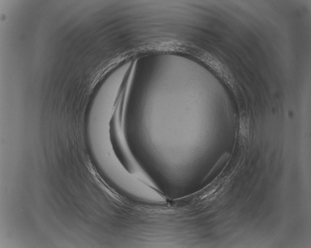 X0000081500397200702100101