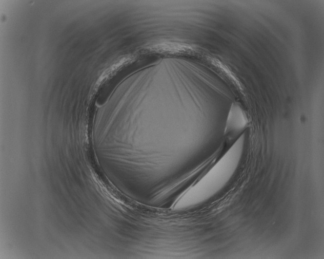 X0000081500399200702100101