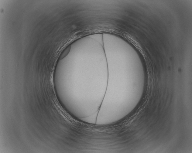 X0000081500401200702100101