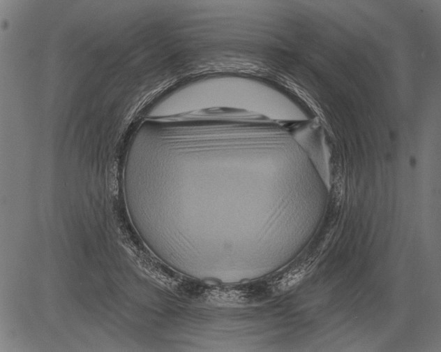 X0000081500403200702100101