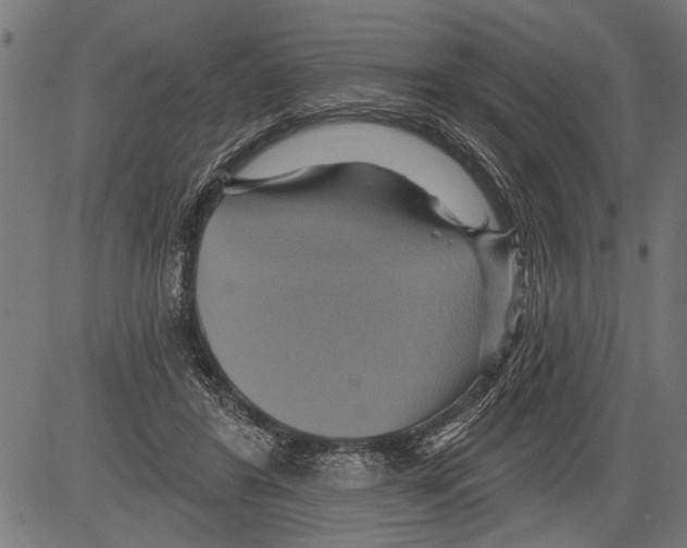 X0000081500404200702100101