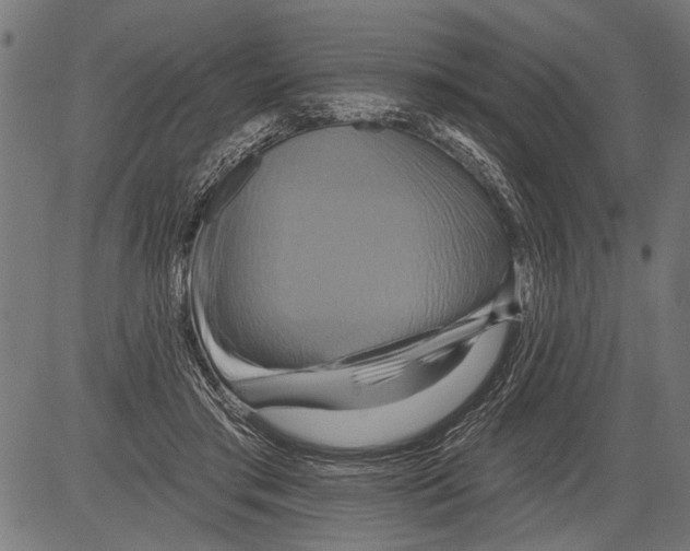 X0000081500405200702100100