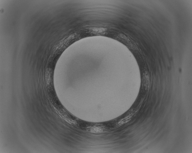 X0000081500412200702100100