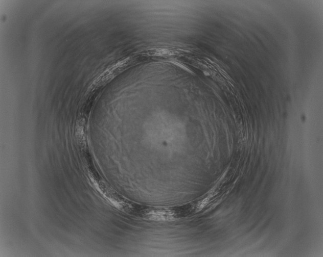 X0000081500415200702100100